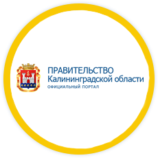 Публикация на официальном портале Правительства Калининградской области